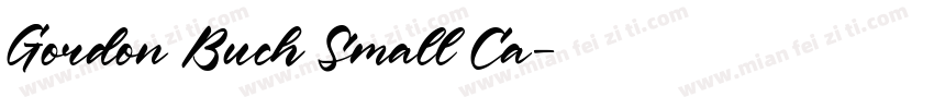 Gordon Buch Small Ca字体转换